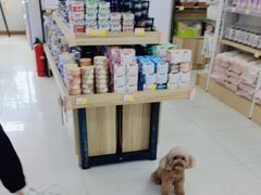 -翊宠yipet猫狗购宠庄园犬舍•猫舍