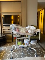 -巍阁高端月子会所