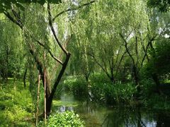 -杭州城北体育公园