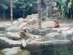 -深圳野生动物园