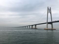 -招商蛇口邮轮母港(观光客运)