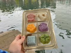-野荸荠