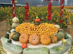 android_upload_pic-北京东方普罗旺斯薰衣草庄园