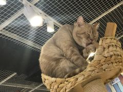 -小时光咖啡馆(开森度假森林店)
