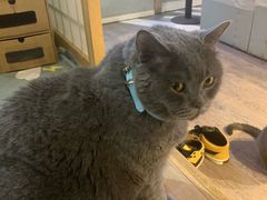-小时光咖啡馆(开森度假森林店)