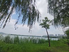 -石湖景区