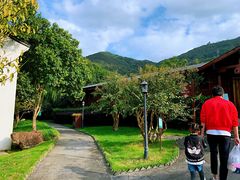 -达蓬山温泉