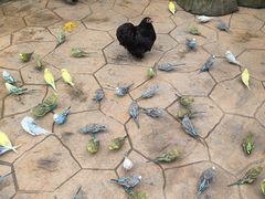 -北戴河集发农业梦想王国