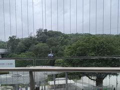 -点都德(广州白云山景区南门店)