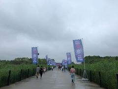 -上海国际音乐村