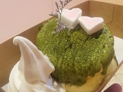 -狐狸和向日葵(北京路店)