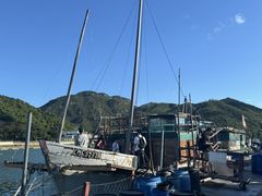 -南丫岛