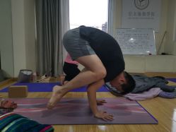 -亚太瑜伽普拉提学院