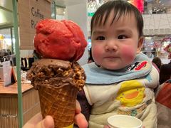 黑巧克力冰淇淋-LUNEURS月乐诗 冰淇淋咖啡(环贸店)