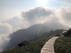 -白草畔自然风景区