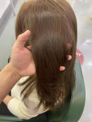 -爱维丽