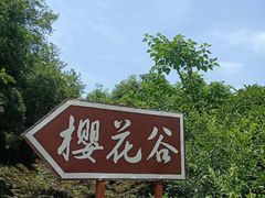 -南京市江宁方山