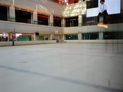 -炫采冰场(红博中央公园商场店)