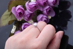 IMG_7948 (1)-威德钻石-克拉钻大本营(南京东路店)