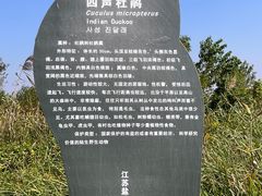 -盐城丹顶鹤湿地生态旅游区