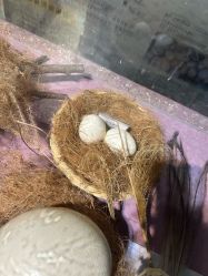 -酷嗒动物文化乐园(cutezoo西溪乐天城店)