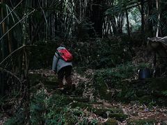 -樱桃山旅游景区