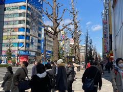 -秋叶原电器街