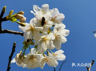 只要身份证拍个照留一下就行