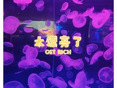 -江和美海洋公园