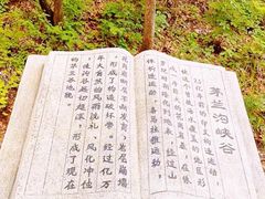 -茅兰沟国家森林公园