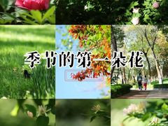 -渭滨公园