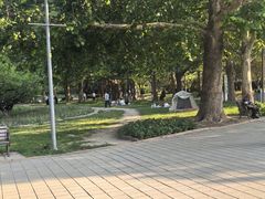 -朝阳公园游乐园
