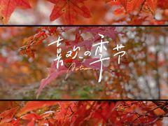-虎丘湿地公园