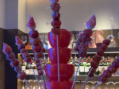 -柿合缘新京菜(国金中心商场店)