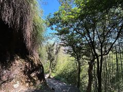 -武夷山风景名胜区-虎啸岩