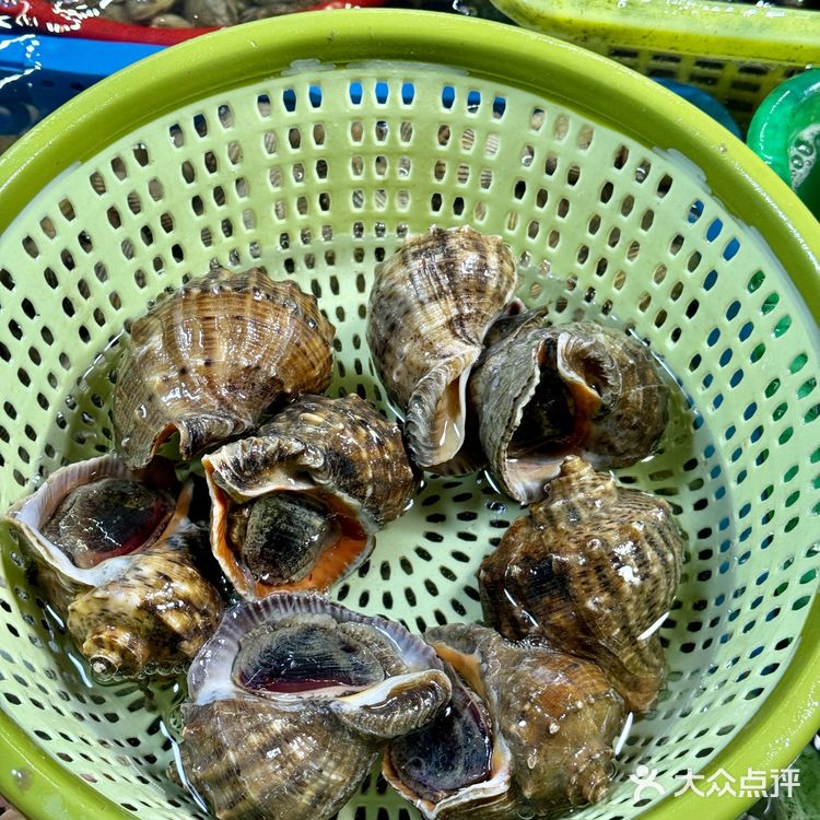 小青龙，大螃蟹，生蚝，鲍鱼，海螺！这一堆才花了三百多