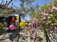 -纯阳宫(大同古城)