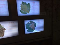 iphone_upload_pic-青岛葡萄酒博物馆