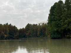 -上海海湾国家森林公园