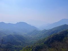 -大岭沟猕猴桃谷风景区