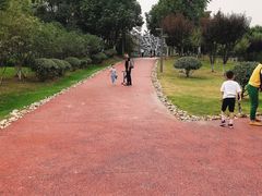 -滨湖塘西河公园