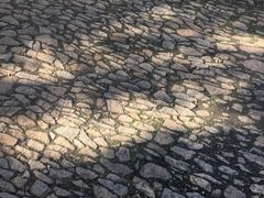 -半岛公馆(淞兴西路店)