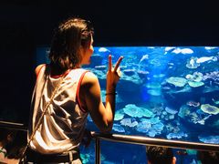 -暹罗海洋世界