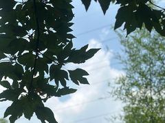 -雅鲁激流探险漂流