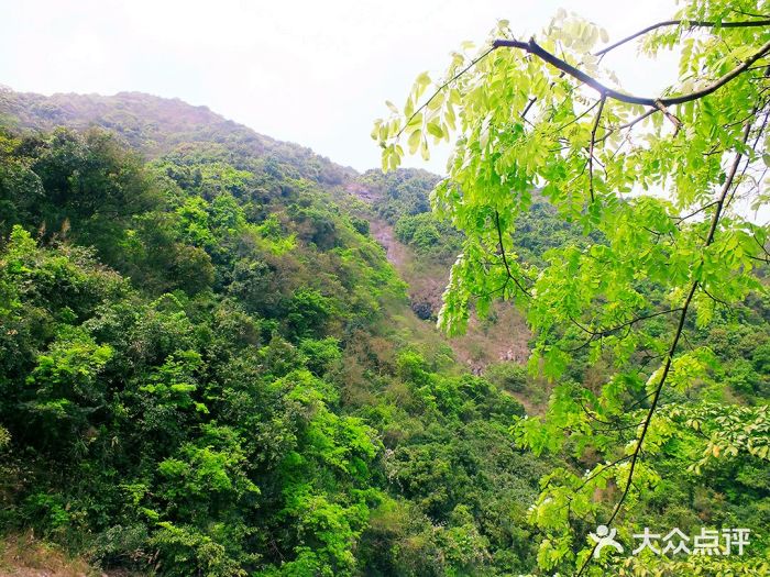 馬巒山郊野公園圖片