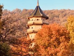 -灵谷景区