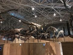 -世界恐龙谷景区