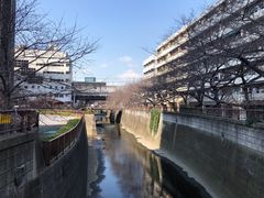-涩谷区