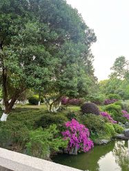 -玄武湖景区-情侣园游乐场