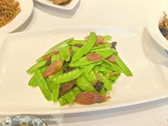 -新雅粤菜馆(南京东路店)